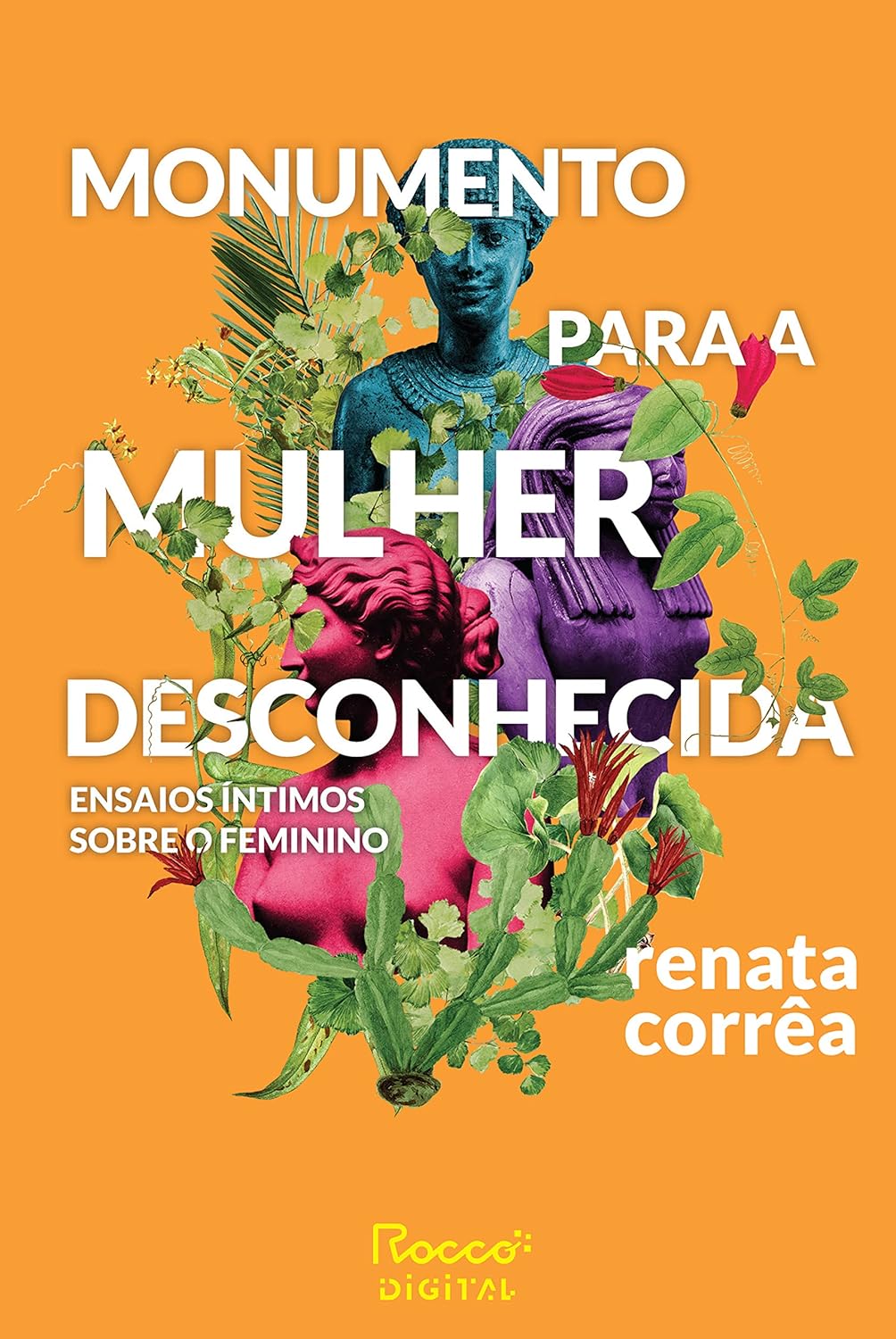 Monumento Para A Mulher Desconhecida - Renata Corrêa